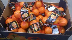 Narandza u mrezici