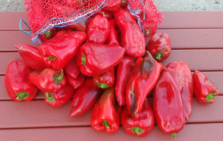 Serbian sweet pepper