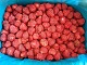 Strawberries Frozen Senga from Serbia